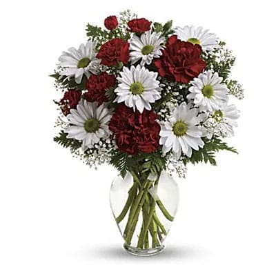 Red carnations and white daisies bouquet.