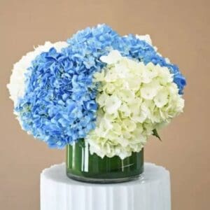 Container Full of Hydrangeas